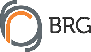 BRG-IRON-LOGO